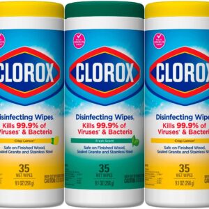 Clorox Surface Cleaner
